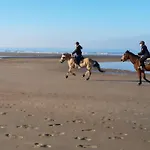 A'mare - Valparaiso Koksijde