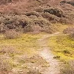 A'mare - Valparaiso Appartement