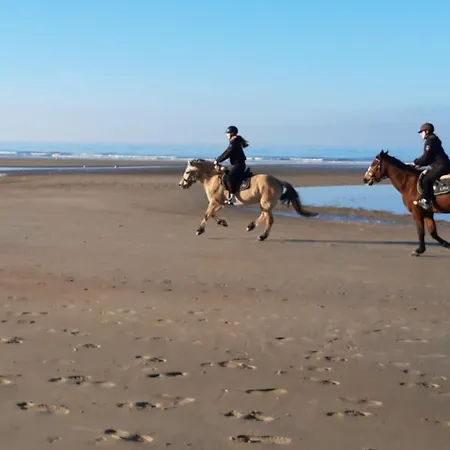 A'mare - Valparaiso 코크시데