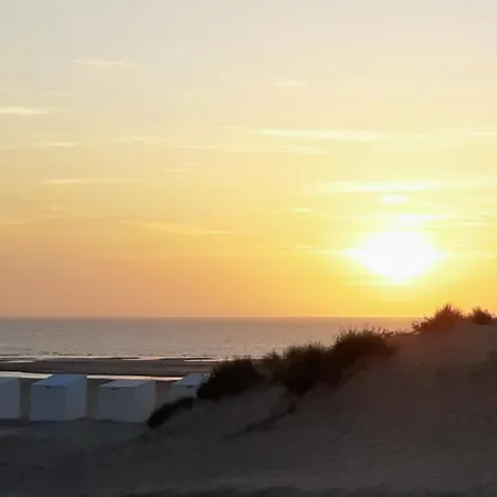 A'mare - Valparaiso * 코크시데