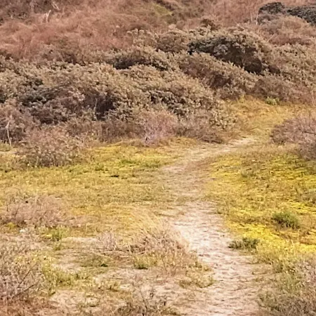 A'mare - Valparaiso 아파트