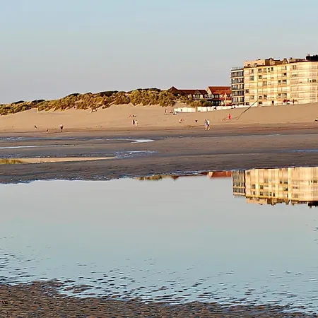 A'mare - Valparaiso Koksijde