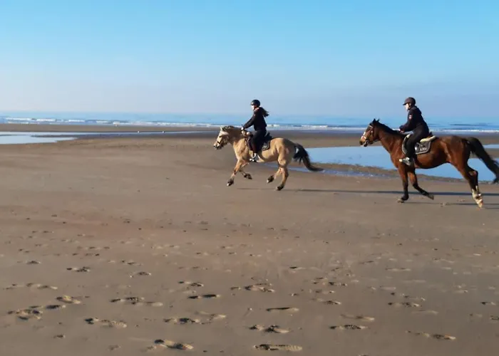 A'mare - Valparaiso Koksijde