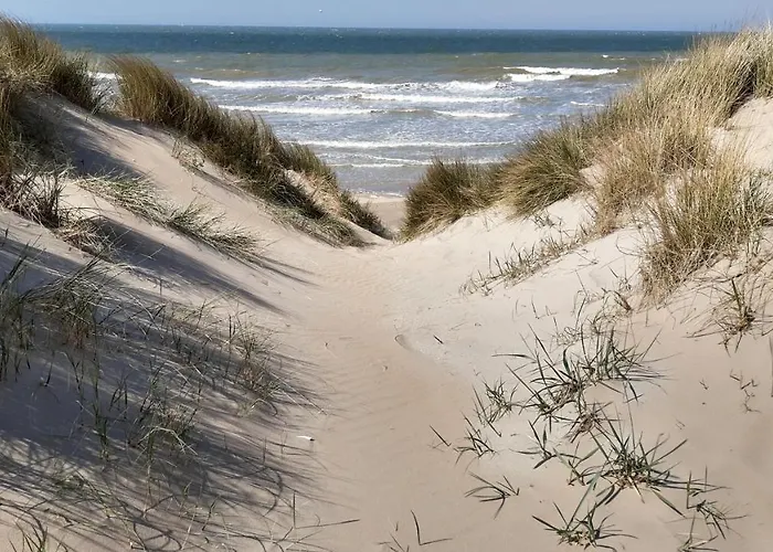 A'mare - Valparaiso * Koksijde