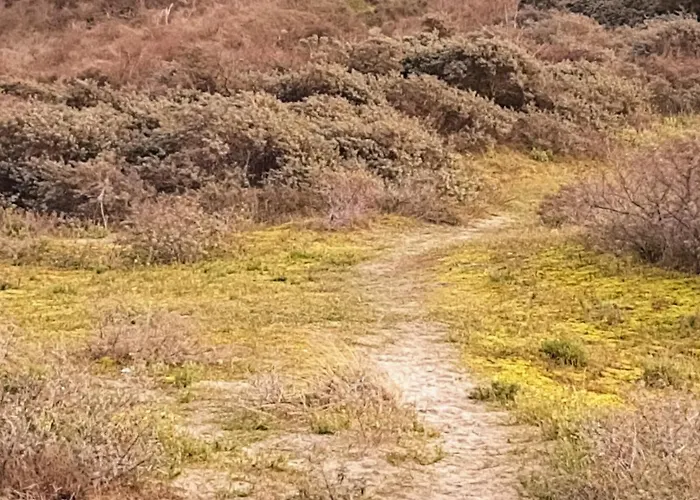 A'mare - Valparaiso Apartament