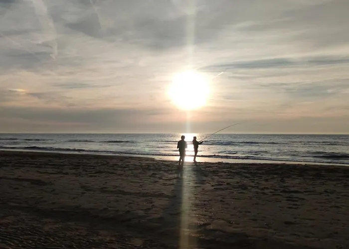 A'mare - Valparaiso Koksijde